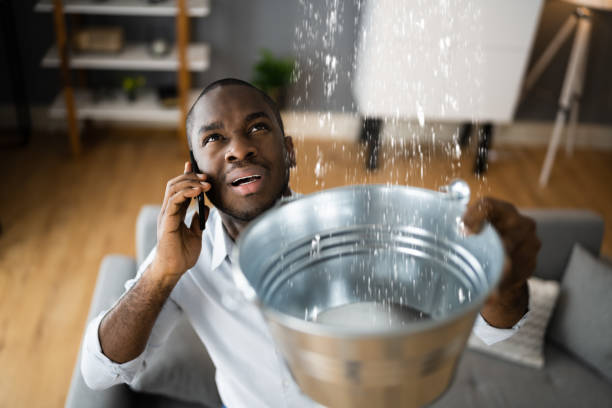 Best Fire Damage Restoration  in Ripon, WI