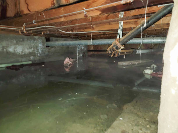 Best Water damage restoration near me  in Ripon, WI