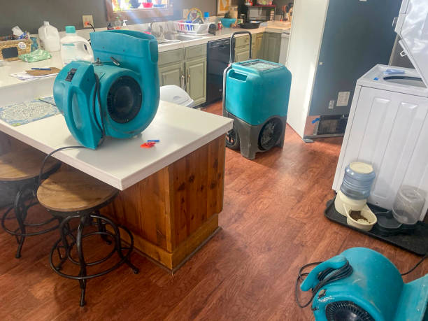 Best Fire Damage Restoration  in Ripon, WI