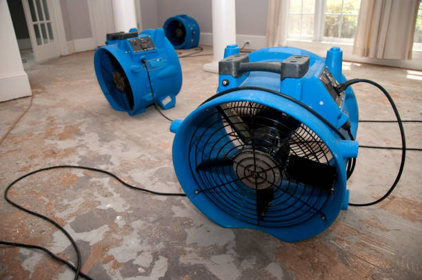 Best Water damage contractors near me  in Ripon, WI