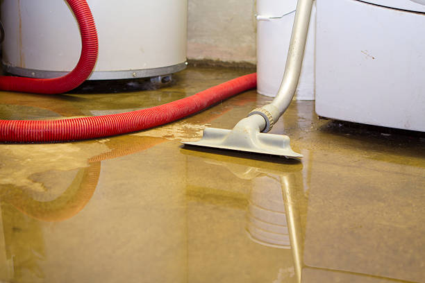 Best Ceiling water damage repair  in Ripon, WI