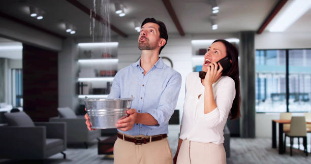  Ripon, WI Water damage restoration Pros