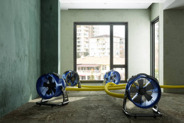 Best 24/7 water damage repair  in Ripon, WI
